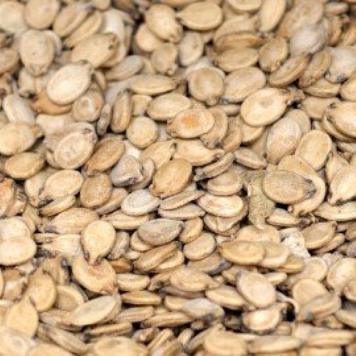 Watermelone Seeds (تخمه هندوانه)
